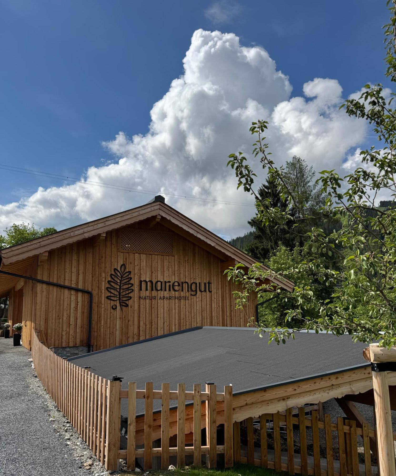 Mariengut - Natur Aparthotel Kramer Wagrain Ngoại thất bức ảnh
